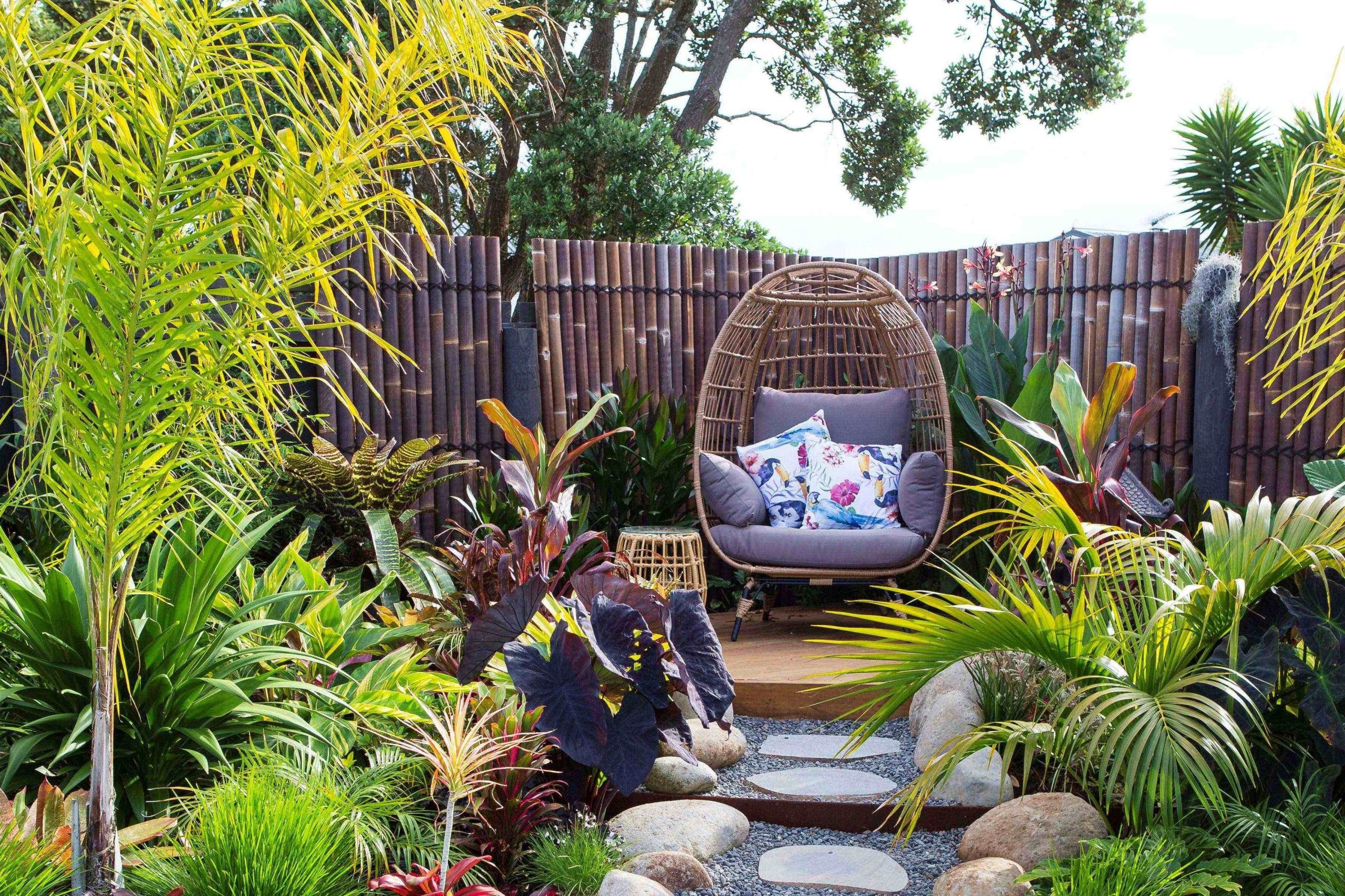 Q&A with Amelia de Ridder from Tropics on Mangati