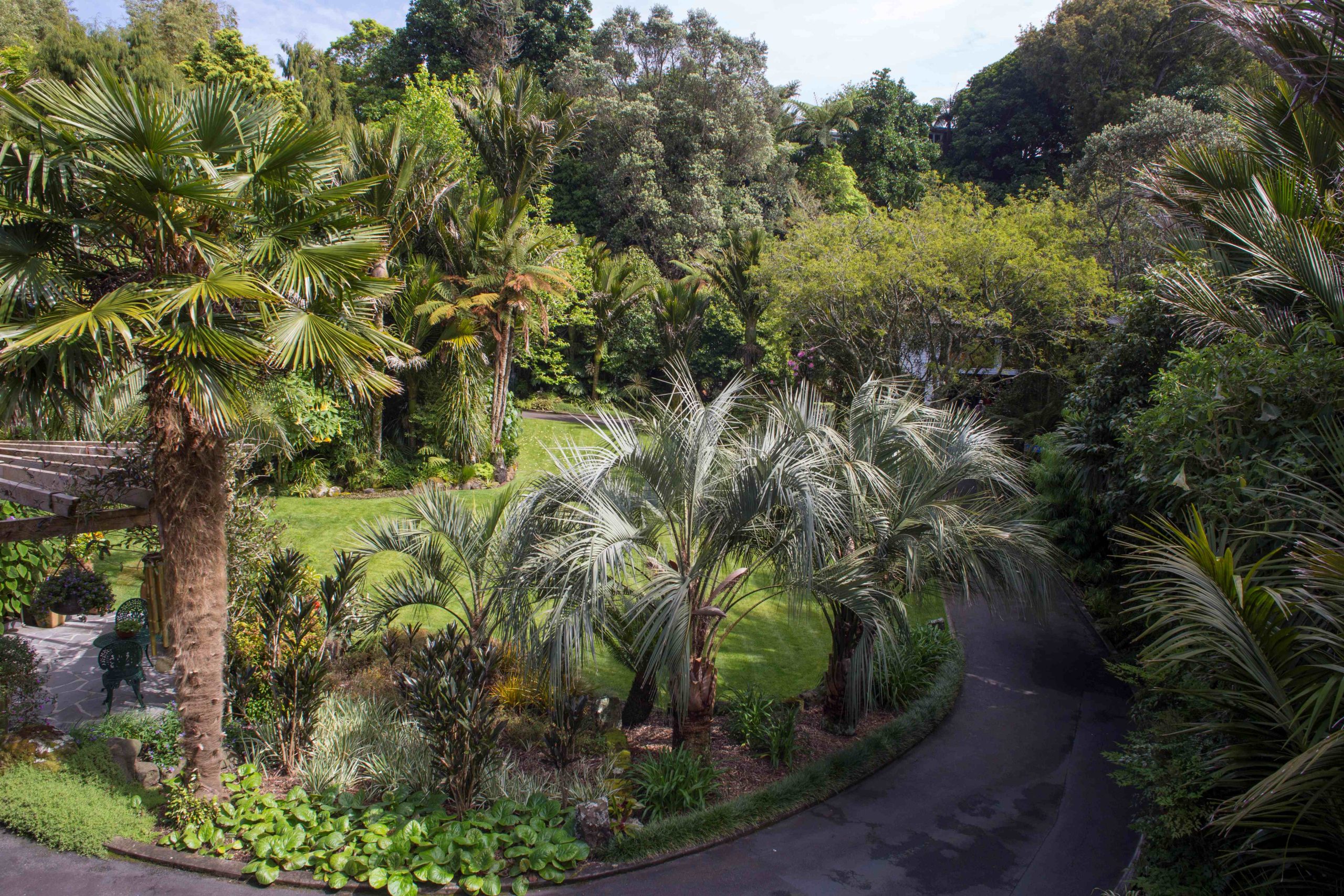 Q&A with Elsie Lind from Nikau Grove